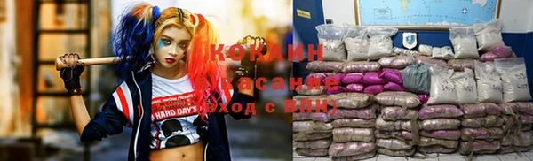 СК Алзамай