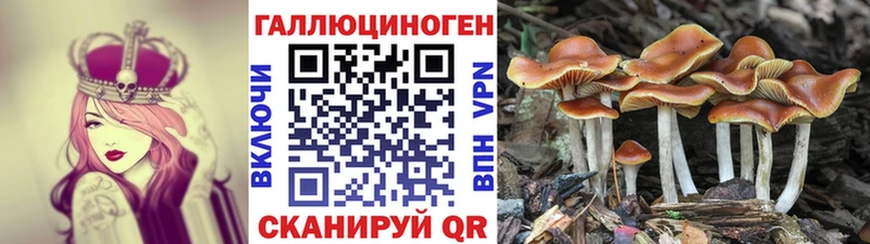 Псилоцибиновые грибы ЛСД  Ступино 