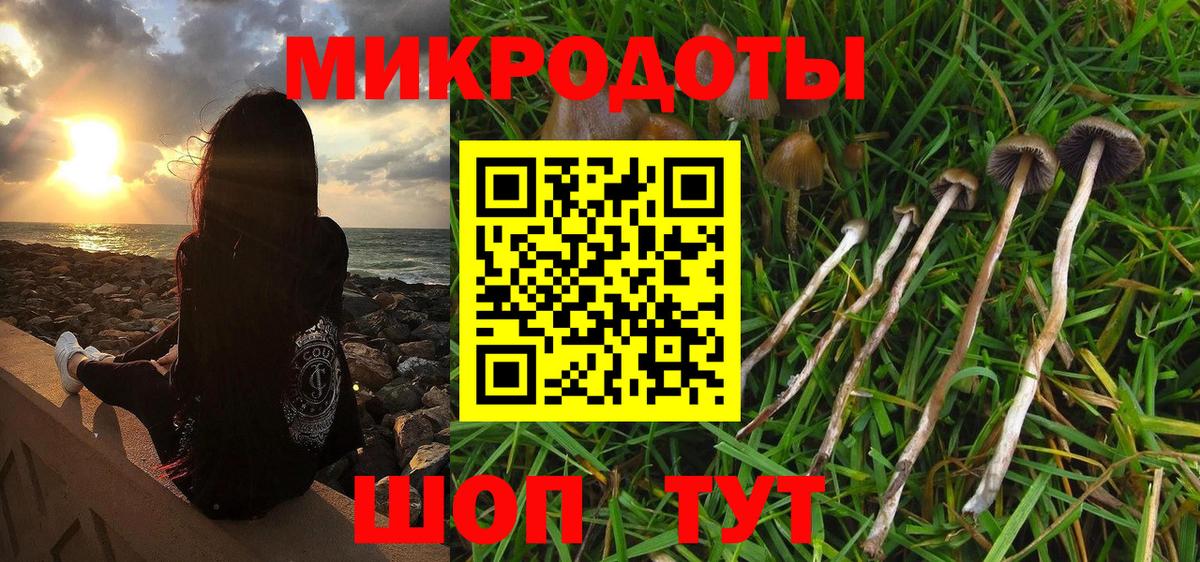 Ступино  Галлюциногенные грибы мухоморы  Вход с VPN 